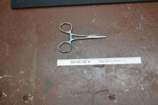 Small hemostats (snip).jpg