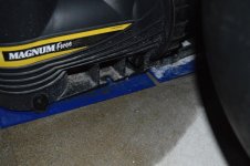 DSC_0010.jpg