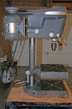 IMG_7804 (Large).JPG