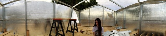 IMG_3815.JPG