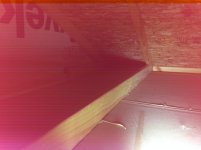 IMG_2733.jpg