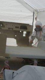 paint in canopy.jpg