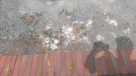 WP_20150706_004.jpg