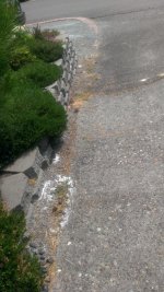 WP_20150706_001.jpg