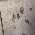 floor pic 1.jpg floor pic 1.jpg