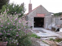 IMG_0852.jpg