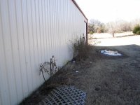 IMG_1253.jpg