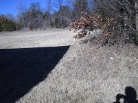 IMG_1255.jpg