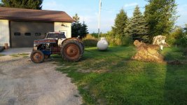 the Big Stump 1.jpg