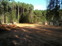 ClearingIV-08.jpg