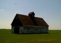 07-05-08_1042edit.jpg