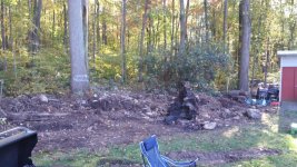 stump1.jpg