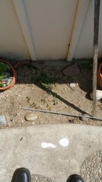 20150606_152707.jpg