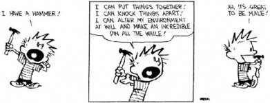 CalvinHammer1.jpg