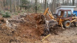 BIGstump1.jpg