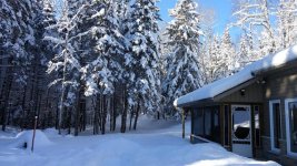 Snow Jan.18.2016.jpg