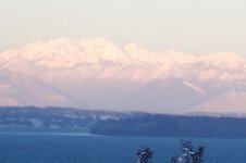 Olympics Jan 11 07 from deck.jpg