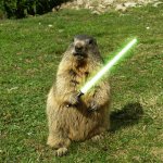 dangerousrodent.jpg