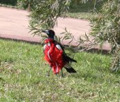 IMG_1460 1.jpg