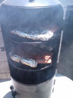 IMG_20130609_120555.jpg IMG_20130609_120555.jpg