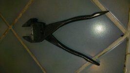 WP_20160307_003.jpg
