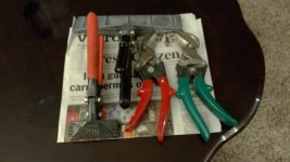 WIN_20160131_203705.jpg