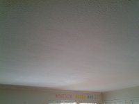 2012-02-23 14.25.45.jpg