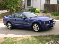 Mustang 003.jpg