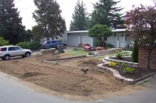 August 15th progress dirt parking strip.jpg