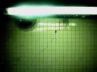 subway-wall1.JPG