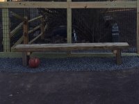court bench.jpg
