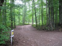 20100706_SITEPREP_0023.jpg