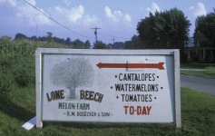 Lone Beech Sign.jpg