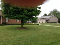 IMG_1309.jpg