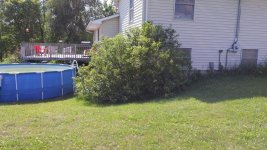 corner bush-house.jpg