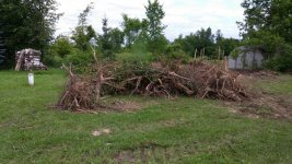 Third of stumps.jpg