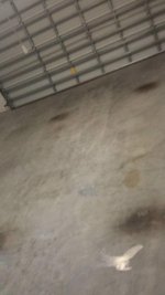 20160119_224613.jpg
