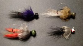 FISH 1.jpg