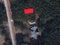 Site - Satellite.jpg