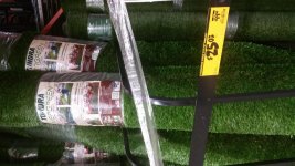 20151031_082043.jpg