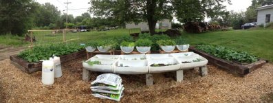 garden6.jpg