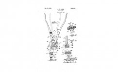 spp.jpg