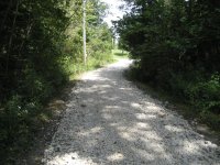 IMG_0028.jpg