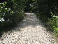 IMG_0031.jpg