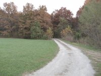 IMG_0009.jpg