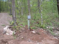 201105_0163.jpg