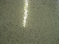 DSCN2018.jpg