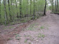 201105_0164.jpg