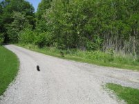 IMG_0153.jpg