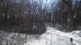 IMG_0160.jpg